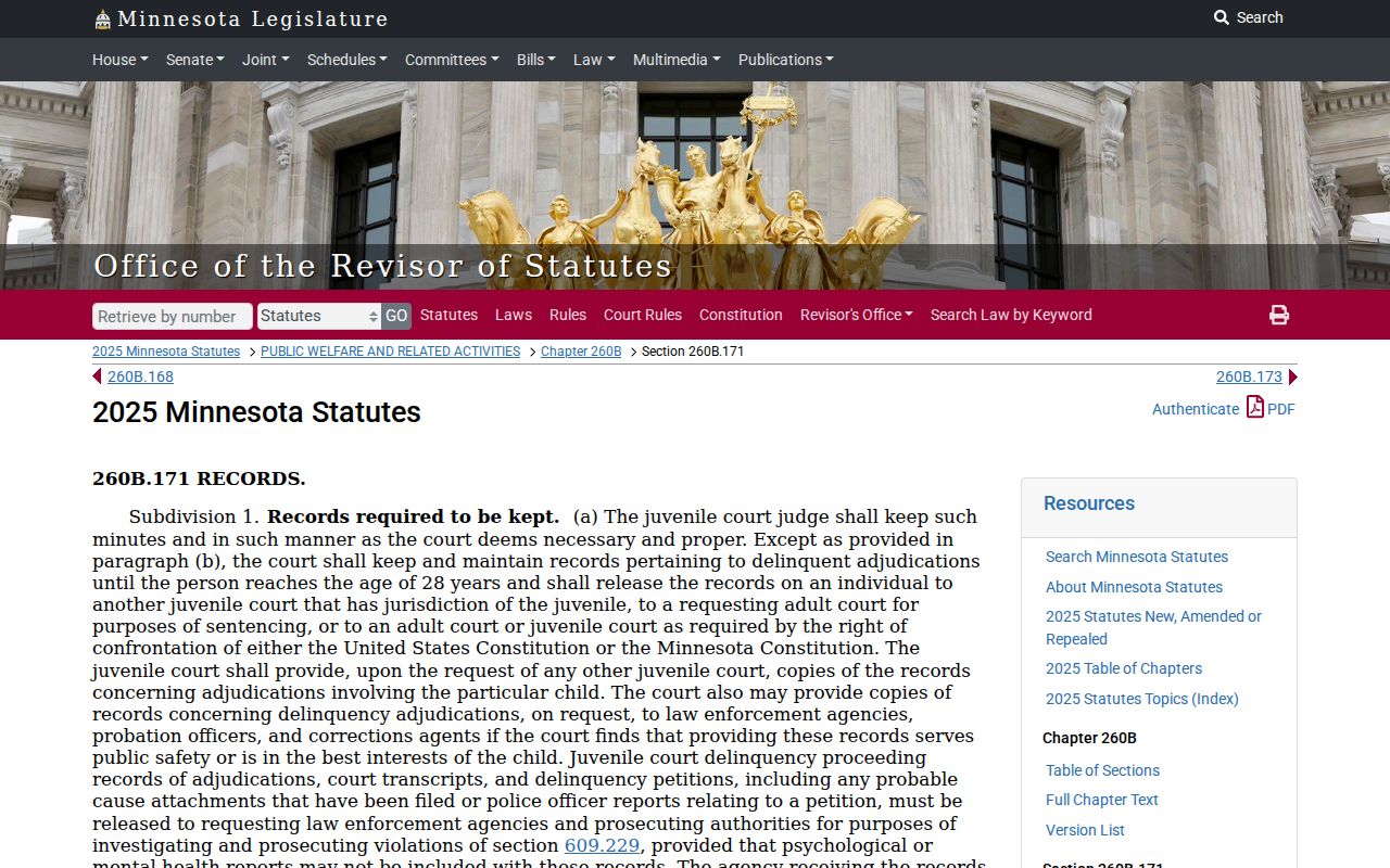 Chisago County criminal docket juvenile record access law