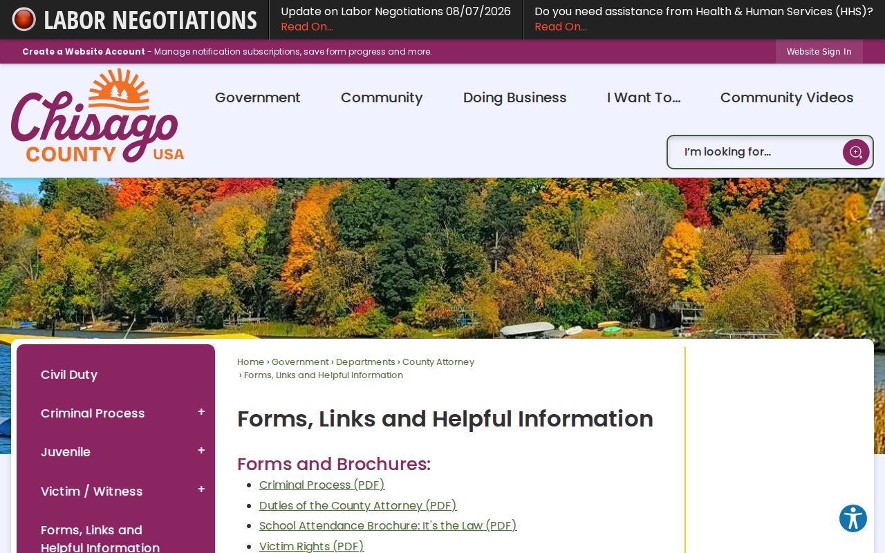Chisago County civil docket court forms and records links